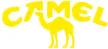 CAMEL駱駝